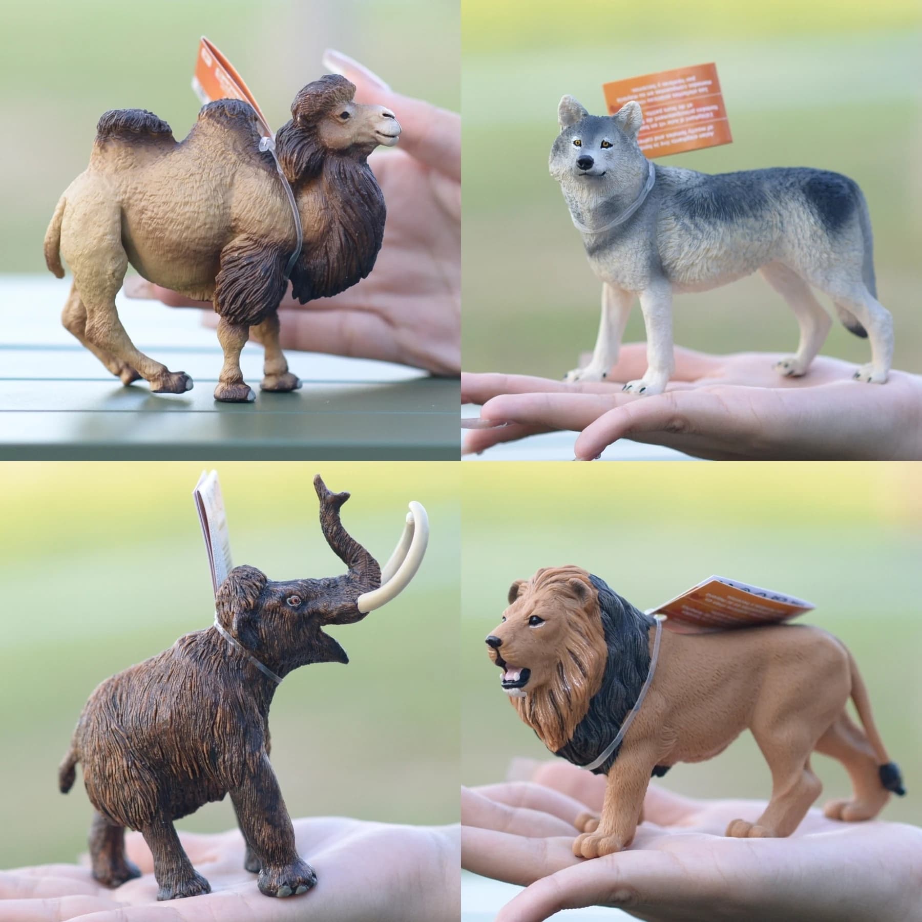 Safari Wildlife Model Toys Lion Tiger Elephant Monkey Wolf Camel Mammoth Crocodile Static Animal Dolls for Ages  And above