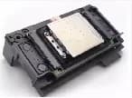 XP600 Head (Eps XP600 Print Head)
